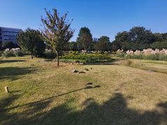 -成都中医药大学(温江校区)