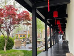-禧宴Joyous Restaurant(禧园店)
