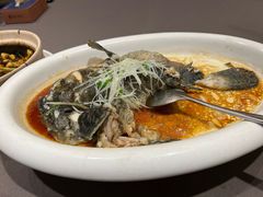 清蒸黑石斑-臻悦海宴.家宴(奥体中心店)