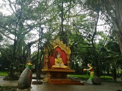 -瑞丽独树成林风景区