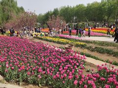 -石家庄市植物园
