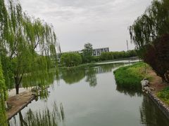 -大兴滨河森林公园