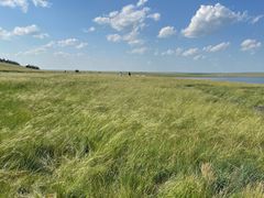 -呼和诺尔旅游景区