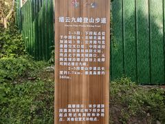 -缙云山景区