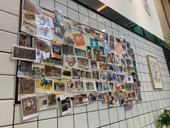 -半岛宠物医院24小时(科华中路店)