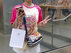 -Apple 零售店(Canton Road)