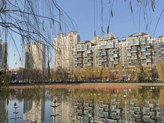 -洛阳市隋唐城遗址植物园