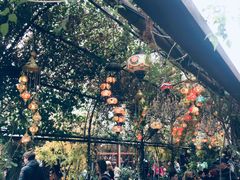 -The Grounds of Alexandria