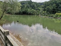 -广州市帽峰山景区