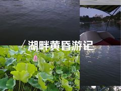 -莲湖公园
