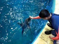 -福州罗源湾海洋世界旅游区