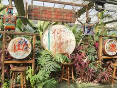 -呀路古热带植物园