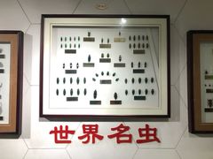 -上海昆虫博物馆