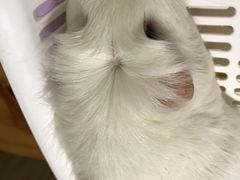 -藦茜花园宠物主题亲子互动体验馆(国顺东路店)