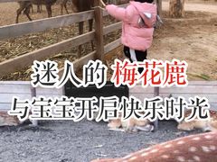 -安德鲁户外烧烤帐篷营地(马泉营店)