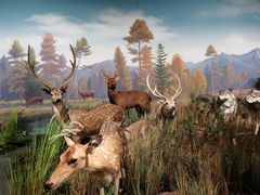 -陕西自然博物馆