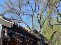 -天泽祥·鼓楼馒头(鼓楼店)