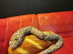 -4k轰趴馆(苏州街店)