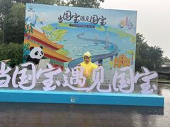 -都江堰中华大熊猫苑
