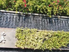 -云溪植物园