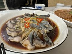 -煲来饱去冷水鱼