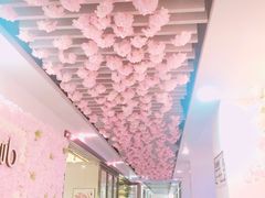 -樱花里音乐餐吧·牛扒椰子鸡(东圃店)