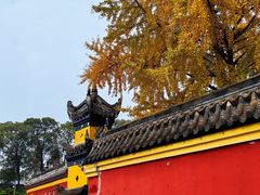 -宝光寺