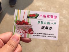 -小鱼草莓采摘园农家乐·小鱼餐厅