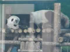 -大青山野生动物园