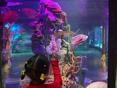 -沈阳海洋探索中心