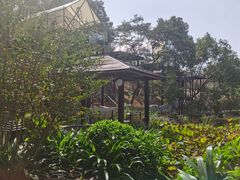 -汇雅温泉