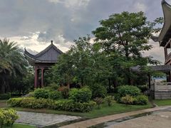 -飞来湖湿地公园