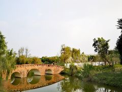 -白鹭湾湿地公园