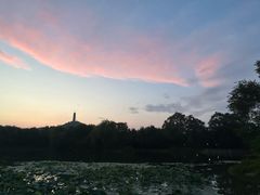 -北坞公园