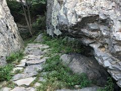 -阳台山自然风景区