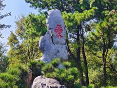 -东湖落雁景区