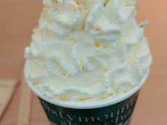 -雾与山茶(大禹城店)