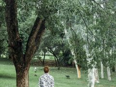 -福建鲤鱼洲酒店