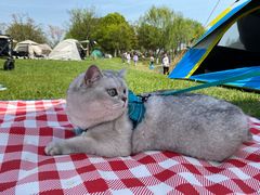 -贡湖湾湿地公园