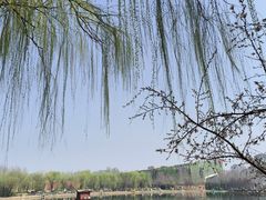 -河北省园博园
