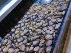 -聚盛源蒸汽海鲜火锅烤肉自助(巨川金海岸购物广场店)