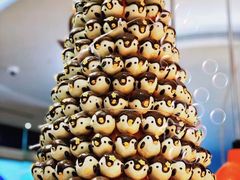 -帝企鹅自助餐厅•儿童岛•真企鹅(长隆企鹅酒店)