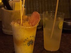 -毛辣果·酸(OHA复兴西路店)