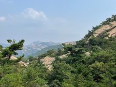 -九龙池景区