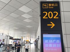-郑州新郑国际机场-T2航站楼