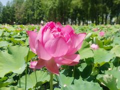 -陶辛水韵