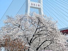 -南浦大桥长途旅游客运站