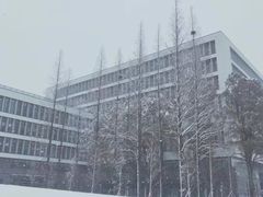 -南京林业大学-图书馆