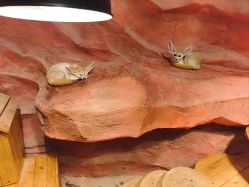 -Zoolung Zoolung动物主题公园(海信广场店)