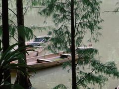 -深圳仙湖植物园
